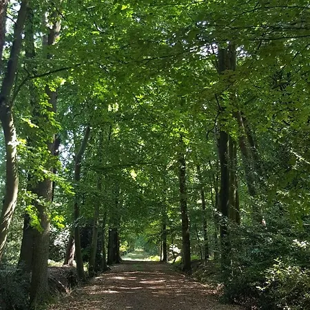 Pleasant In Διαμέρισμα *