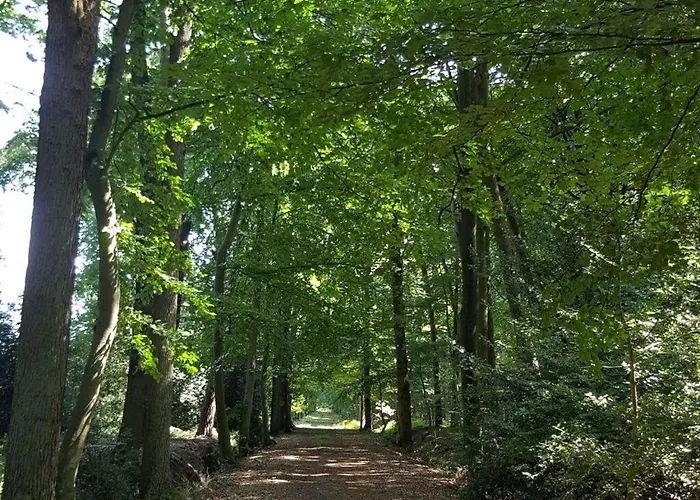 Pleasant In Apartman *